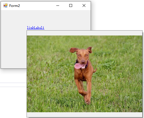 image-20241220141356763